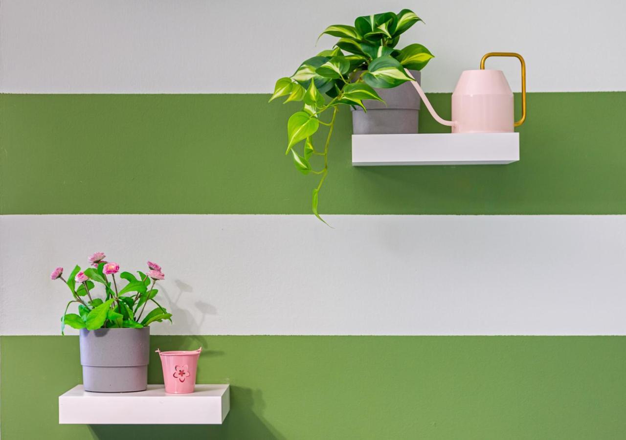 Garden House - Con Terrazzo Apartment Grugliasco Luaran gambar